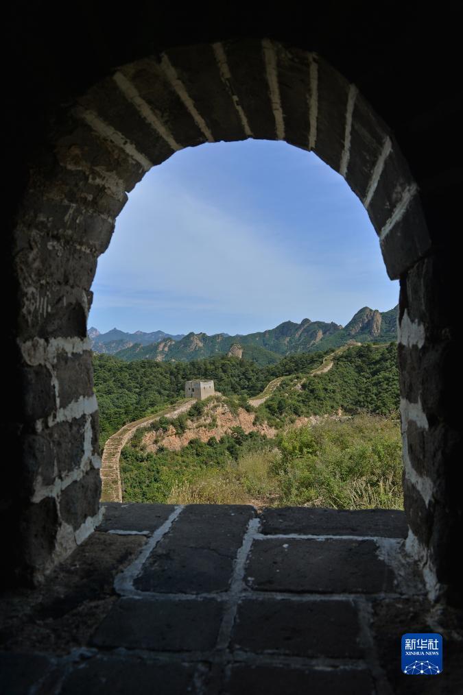 免费炸金花下载
